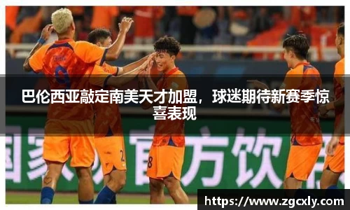 巴伦西亚敲定南美天才加盟，球迷期待新赛季惊喜表现
