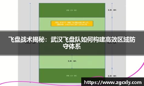 飞盘战术揭秘：武汉飞盘队如何构建高效区域防守体系