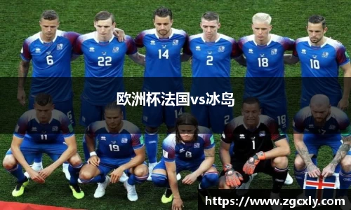 欧洲杯法国vs冰岛