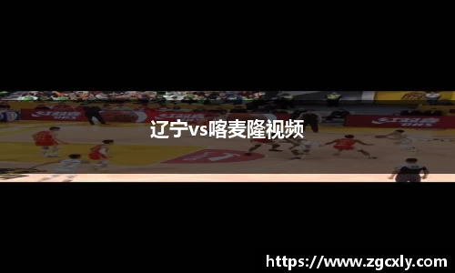 辽宁vs喀麦隆视频