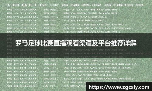 罗马足球比赛直播观看渠道及平台推荐详解