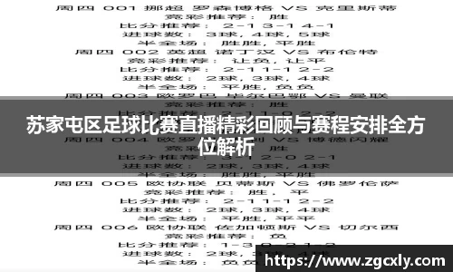 苏家屯区足球比赛直播精彩回顾与赛程安排全方位解析