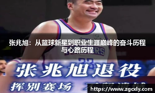 竞技宝下载