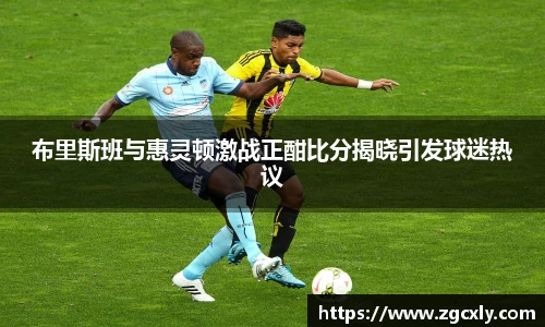 布里斯班与惠灵顿激战正酣比分揭晓引发球迷热议